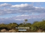 undefined undefined