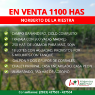 1100 Has En Norberto De La Riestra