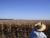 148Ha Agricola En Mariano Miro La Pampa