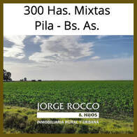 300 Has Mixtas En Pila, Buenos Aires