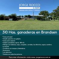 Campo Ganadero en venta 310 hectáreas Coronel Brandsen, Buenos Aires