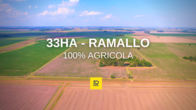 33Ha Ramallo. 100 Agricola