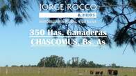 350 Has Ganaderas En Chascomús - Financiación -