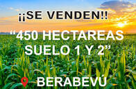 450 Hectareas De Campo Agricola