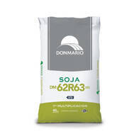 Soja DM 62R63 STS - DonMario Semillas