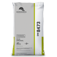 Soja DM 8473 Tolerante a glifosato - DonMario Semillas