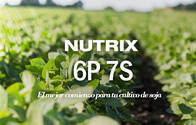 Fertilizante Liquido Nutrix 6P 7S