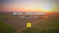 Campo agrícola en venta de 89 hectáreas en Pergamino, Buenos Aires