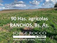 Campo Agrícola en Venta 90 Hectáreas Gómez, Buenos Aires
