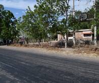 Finca en Venta - San Martin, Mendoza - 20 Has