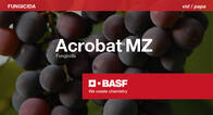 Fungicida Acrobat MZ Dimetomorf Mancozeb BASF