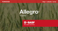 Fungicida Allegro Epoxiconazole kresoximmetil BASF