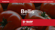 Fungicida Bellis Pyraclostrobin Boscalid - BASF