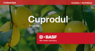 Fungicida Cuprodul Oxido Cuproso BASF