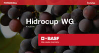 Fungicida Hidrocup WG Hidróxido de cobre BASF