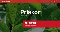 Fungicida Priaxor Fluxapyroxad Piraclostrobin BASF