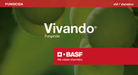 Fungicida Vivando Metrafenone BASF