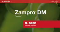 Fungicida Zampro DM Ametoctradin Dimetomorf BASF