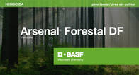 Herbicida Arsenal Forestal Df Imazapir BASF