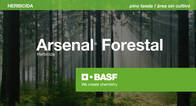 Herbicida Arsenal Forestal Imazapir BASF