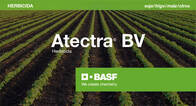 Herbicida Atectra BV Dicamba BASF