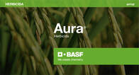 Herbicida Aura Profoxidim BASF