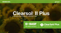 Herbicida Clearsol II Plus Imazapir Imazamox BASF