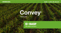 Herbicida Convey Topramezone BASF