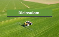 Herbicida Diclosulam