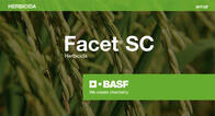 Herbicida Facet Quinclorac BASF