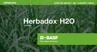 Herbicida Herbadox H2O Pendimetalin BASF