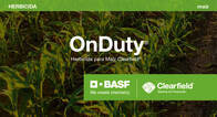 Herbicida OnDuty Imazapic Imazapir BASF