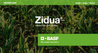 Herbicida Zidua Pack pyroxasulfone saflufenacil BASF