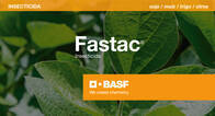 Insecticida Fastac Alfacipermetrina BASF