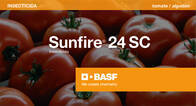 Insecticida Sunfire 24 Clorfenapir BASF