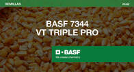 Maíz 7344 VT Triple Pro - BASF