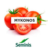Tomate Mykonos