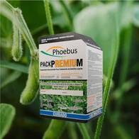 Inoculante para soja + Fungicida - Phoebus Pack Premium - AgroAdvance 