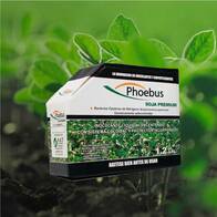 Inoculante para soja Phoebus Soja Premium - AgroAdvance | Agrofy