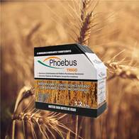 Biofertilizante Phoebus Trigo - Agro Advance Technology
