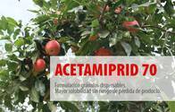 Insecticida Acetamiprid 70 - Agro Roca