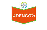 Herbicida Adengo® - Bayer