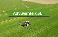 Adyuvante X 5Lt