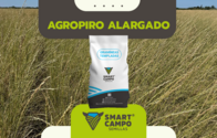 Agropiro Alargado Smartcampo