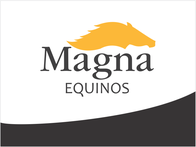 Alimento Balanceado Magna Equinos
