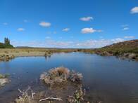 Arroyo Verde, Valcheta, Río Negro, Estancia Ovina