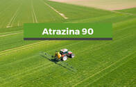 Herbicida Atrazina 90