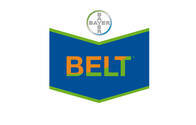 Insecticida Belt® 48