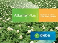 Fertilizante foliar complejo Atlante Plus - Gleba