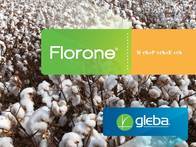 Fertilizante foliar complejo Florone - Gleba 